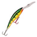 RAPALA Wobler Deep Tail Dancer 11cm 22g FLP