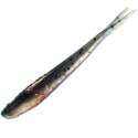 Berkley Power Bait Minnow 4in 10cm Emmerald Shiner