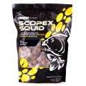 Nash Scopex Squid Stabilised Boilies 12mm 1kg