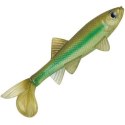 Berkley Guma Sick Fish 10cm Light Hitch 2szt.