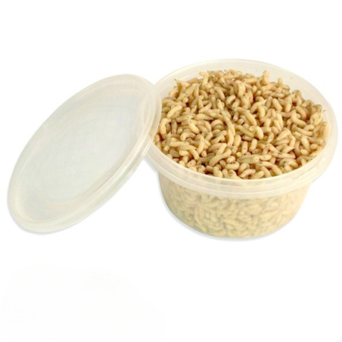 Robak Biały Angielski 1l Robaki