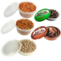 Zestaw Robaków Wędkarskich Weekendowy nr.2