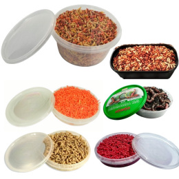 Zestaw Robaków Wędkarskich Zawodniczy