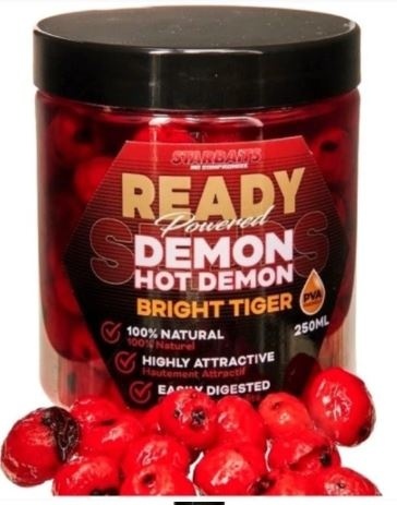 Star baits Orzech Tygrysi Ziarna Ready Bright Tiger Hot Demon